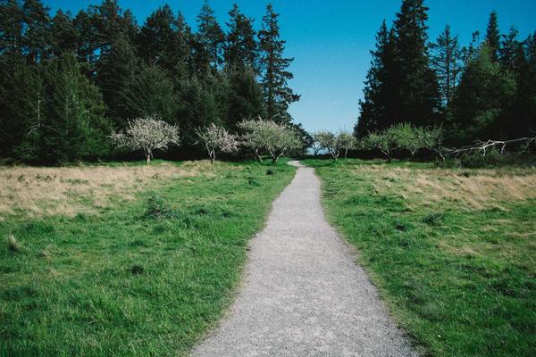 英雄联盟总决赛现场全景